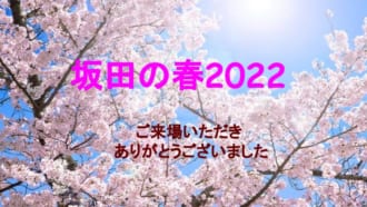 1-1坂田の春お礼