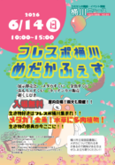 6月